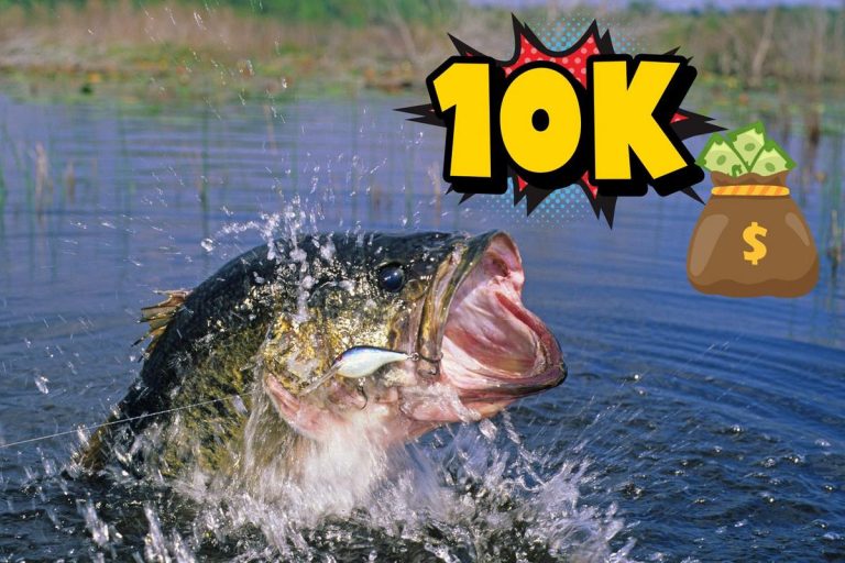 attachment-bass-tournament-10k